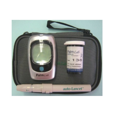 Glucometer PALM Lab