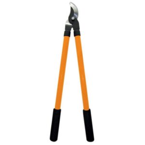 Import placeholder for 3136