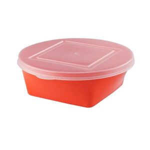 1 Litre Lucky Lunch Box – Assorted Colours