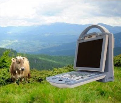 Import placeholder for 15834