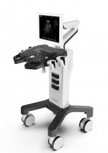 Digital Trolley B/W ultrasound system Full-Digital Black And White Ultrasound Diagnostic System MAS-DW350