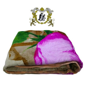 Import placeholder for 18581