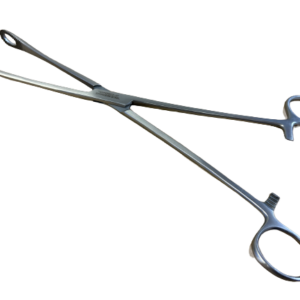 Import placeholder for 10256
