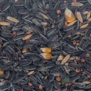 Complete Seed Parrot Mix 10Kg