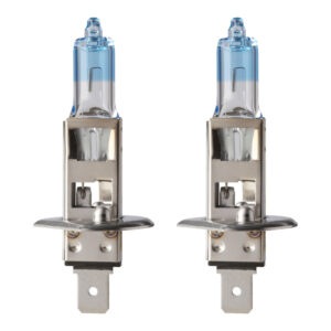 Flosser H1 Globe Kit, 12 V, 55 W, P14