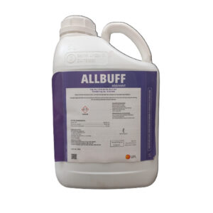 Allbuff 5L