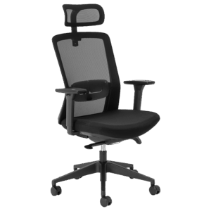Aila Ergo High Back Chair