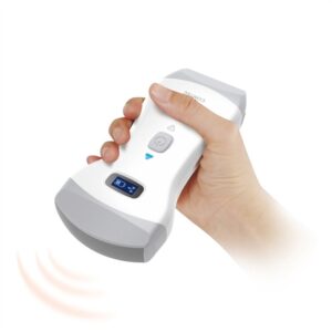Ultrasound Cms1600b