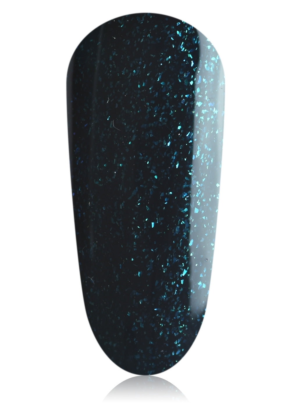 Import placeholder for 13006