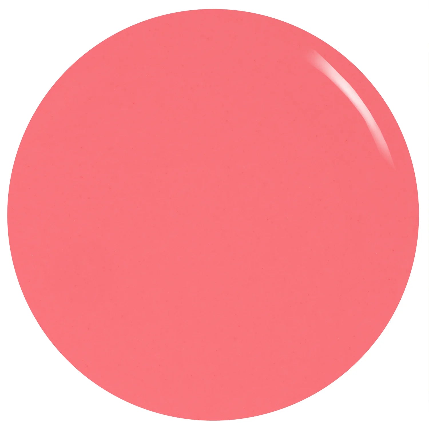 Import placeholder for 12385 - Image 3