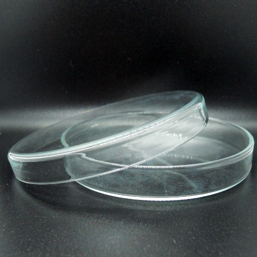 Import placeholder for 9513